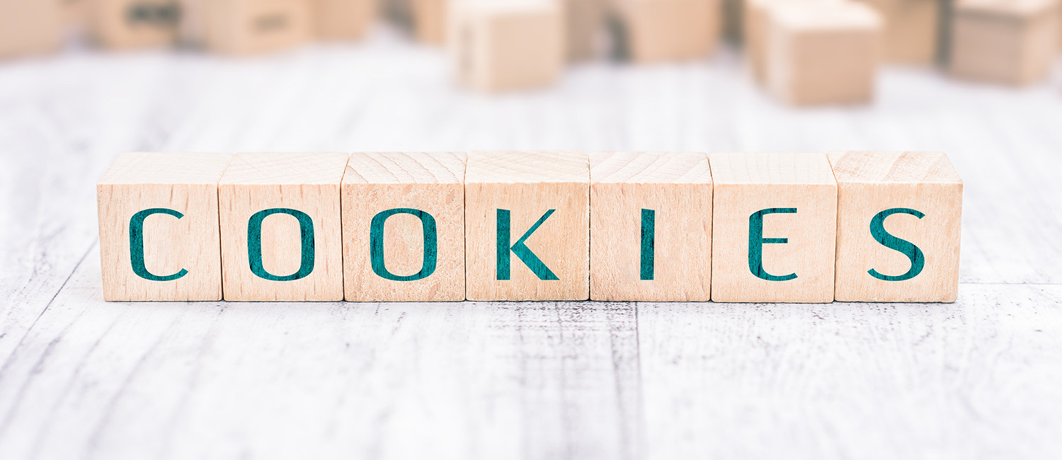 Website Cookie Policy For Shasta Vista Inn & Suites